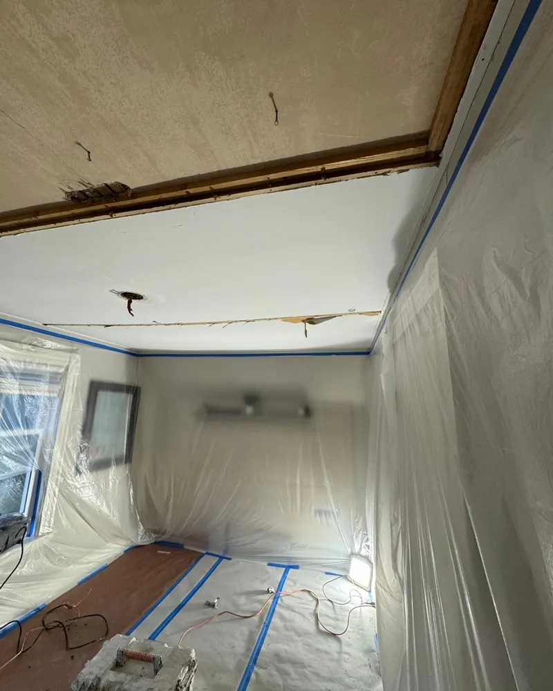 Damaged ceiling section removed back to the framing
